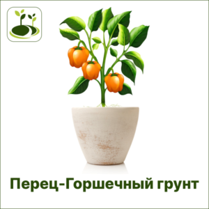 Перец сладкий Горшечный грунт