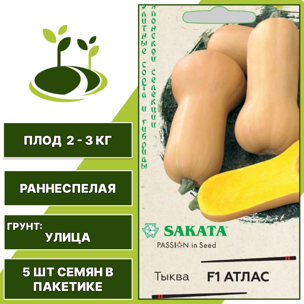 Тыква мускатная Атлас F1, Sakata, ГАВРИШ, количество семян в пакетике 5 шт