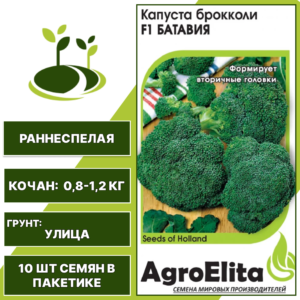 Капуста брокколи Батавия F1, AgroElita, Bejo, ГАВРИШ, раннеспелая, количество семян в пакетике 10 шт
