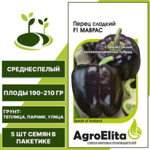 Перец сладкий Маврас F1, AgroElita, Enza Zaden, ГАВРИШ, количество семян в пакетике 5 шт
