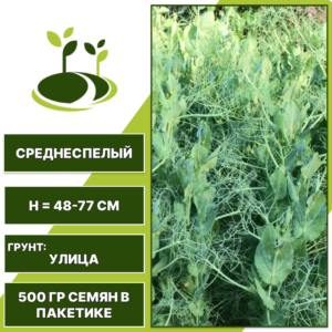 Горох Софья, посевной, ГАВРИШ, количество семян в пакетике 0,5 кг