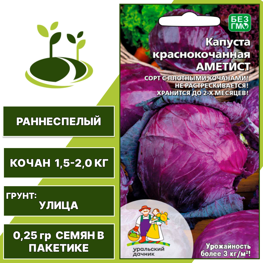 Капуста краснокочанная Аметист, УРАЛЬСКИЙ ДАЧНИК, количество семян в пакетике 0,25 гр