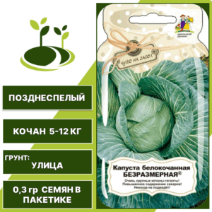 Капуста белокочанная Безразмерная серия Банка, УРАЛЬСКИЙ ДАЧНИК, количество семян в пакетике 0,3 гр