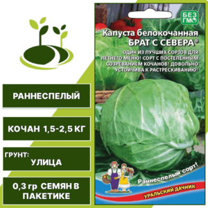 Капуста белокочанная Брат с Севера, УРАЛЬСКИЙ ДАЧНИК, количество семян в пакетике 0,3 гр