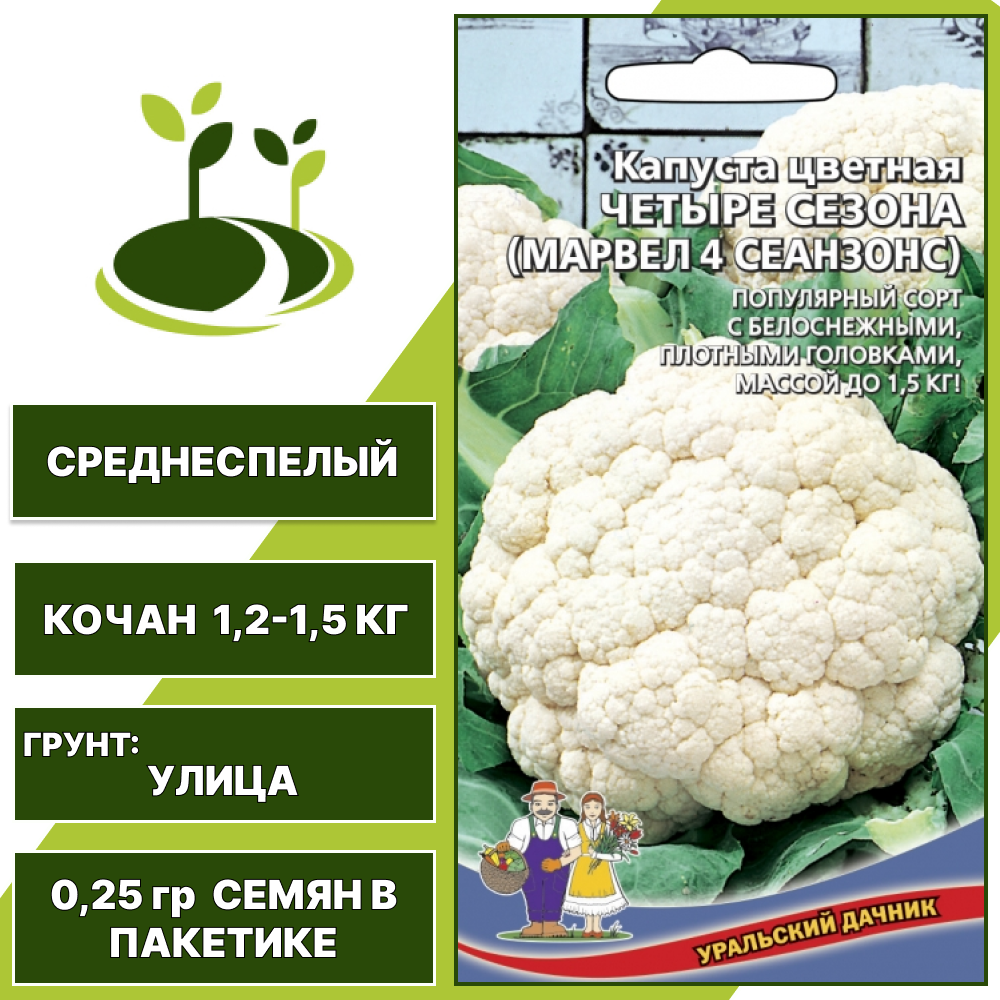 Капуста цветная Четыре сезона ( Марвел 4 сеанзонс), УРАЛЬСКИЙ ДАЧНИК, количество семян в пакетике 0,25 гр