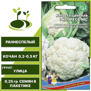 Капуста цветная Экспресс МС, УРАЛЬСКИЙ ДАЧНИК, количество семян в пакетике 0,25 гр