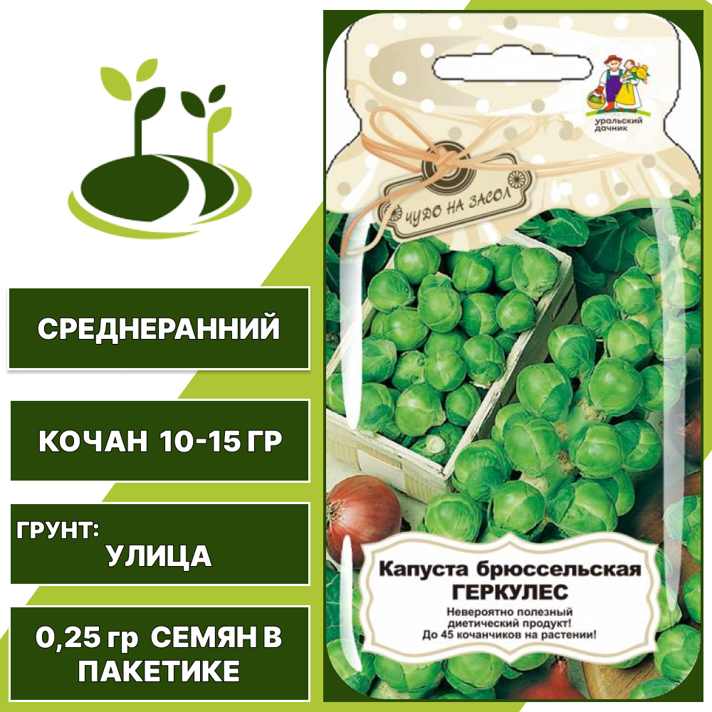 Капуста брюссельская Геркулес серия Банка, УРАЛЬСКИЙ ДАЧНИК, количество семян в пакетике 0,25 гр