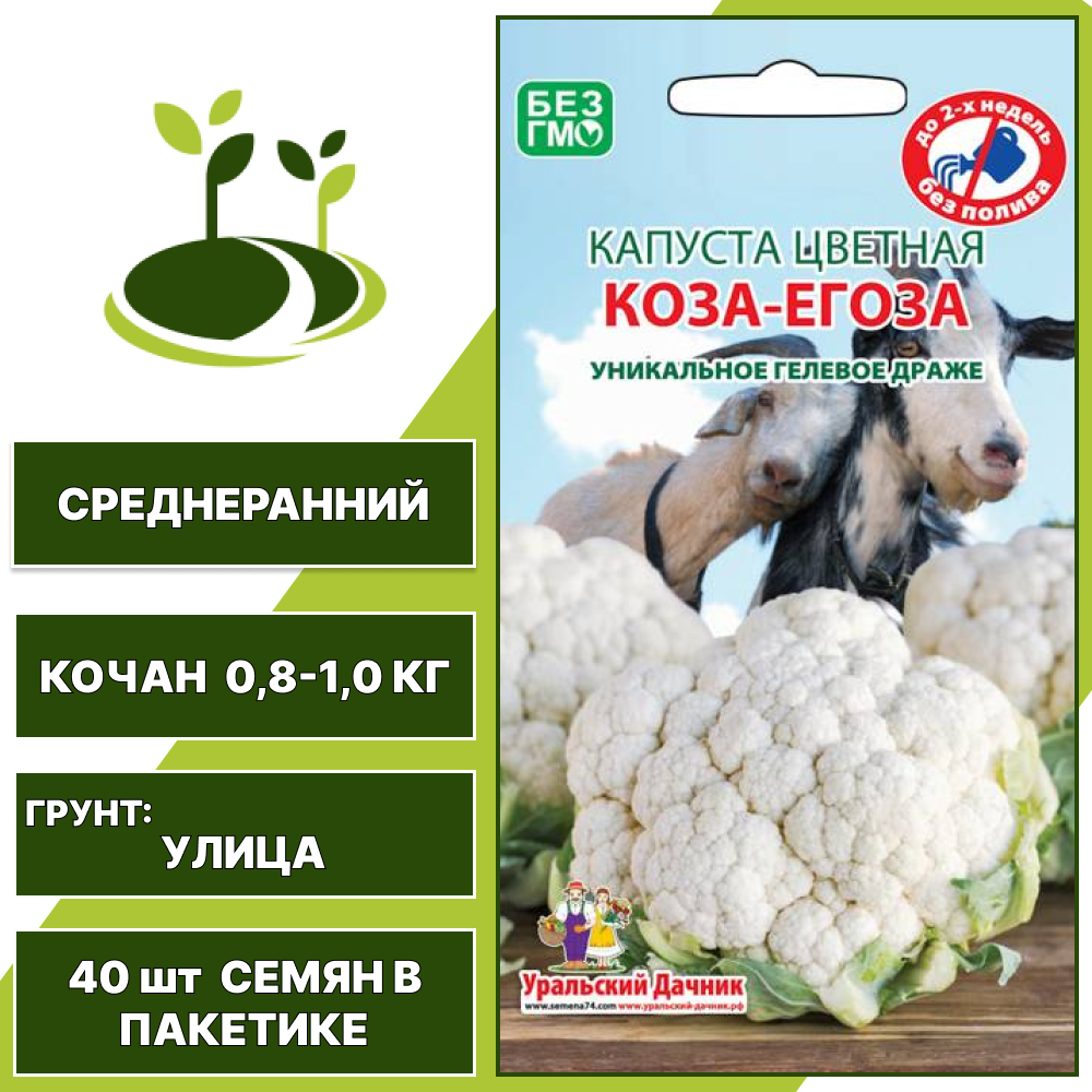 Капуста цветная Коза-Егоза драже, УРАЛЬСКИЙ ДАЧНИК, количество семян в пакетике 40 шт