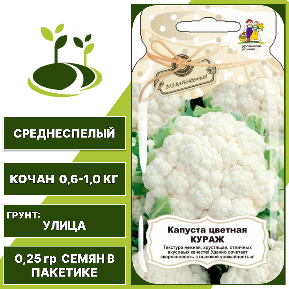Капуста цветная Кураж серия Банка, УРАЛЬСКИЙ ДАЧНИК, количество семян в пакетике 0,25 гр