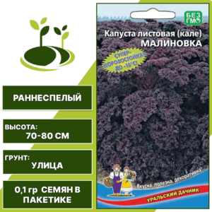 Капуста листовая (кале) Малиновка, УРАЛЬСКИЙ ДАЧНИК, количество семян в пакетике 0,1 гр