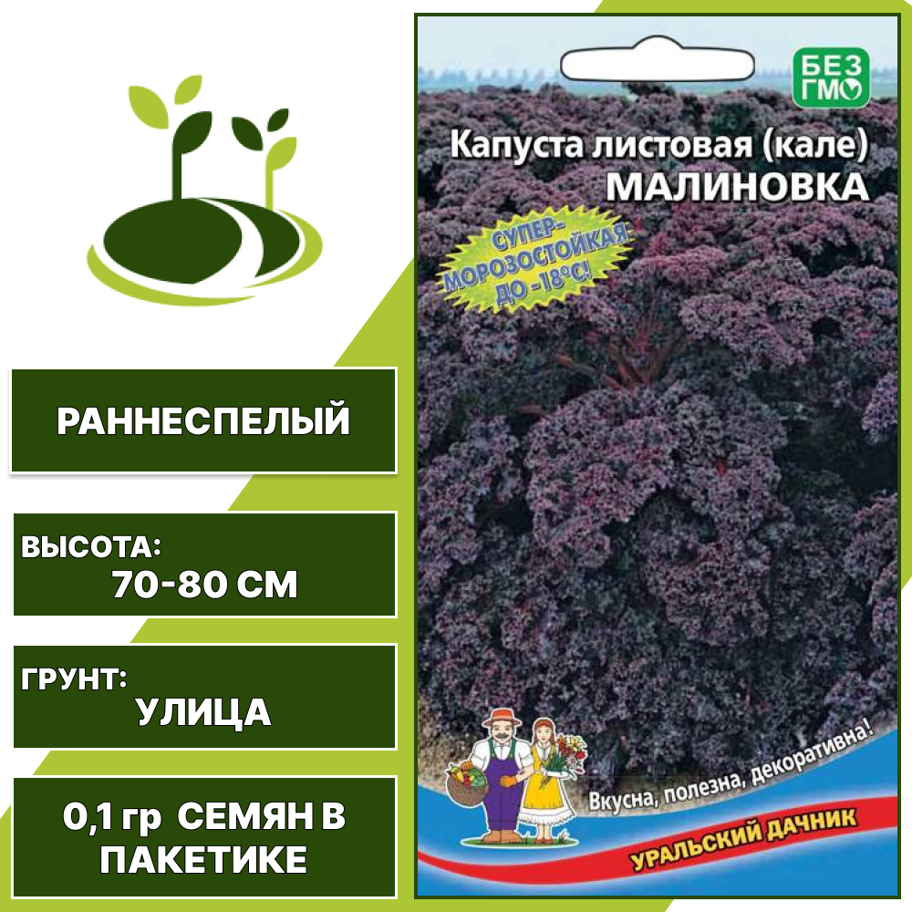 Капуста листовая (кале) Малиновка, УРАЛЬСКИЙ ДАЧНИК, количество семян в пакетике 0,1 гр