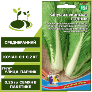 Капуста пекинская Родник, УРАЛЬСКИЙ ДАЧНИК, количество семян в пакетике 0,25 гр