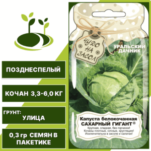 Капуста белокочанная Сахарный гигант серия Банка, УРАЛЬСКИЙ ДАЧНИК, количество семян в пакетике 0,3 гр