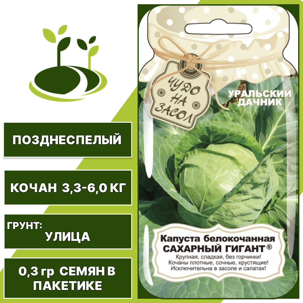 Капуста белокочанная Сахарный гигант серия Банка, УРАЛЬСКИЙ ДАЧНИК, количество семян в пакетике 0,3 гр