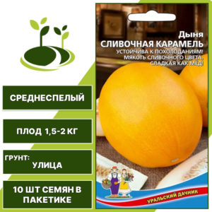 Дыня Сливочная карамель, УРАЛЬСКИЙ ДАЧНИК, количество семян в пакетике 10 шт
