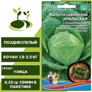 Капуста савойская Уральская, УРАЛЬСКИЙ ДАЧНИК, количество семян в пакетике 0,25 гр