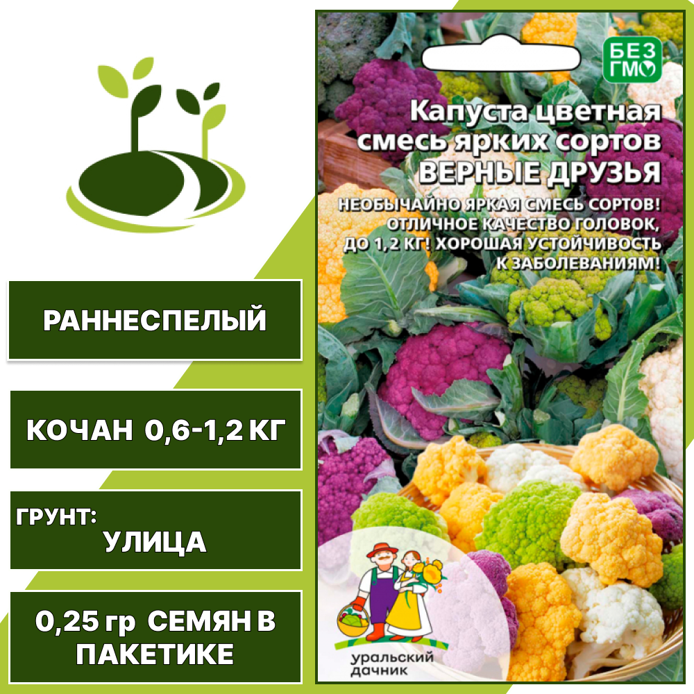 Капуста цветная Верные друзья смесь, УРАЛЬСКИЙ ДАЧНИК, количество семян в пакетике 0,25 гр