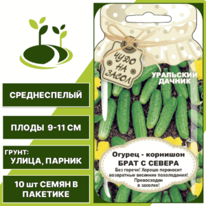 Огурец-корнишон Брат с севера серия Банка, УРАЛЬСКИЙ ДАЧНИК, количество семян в пакетике 10 шт