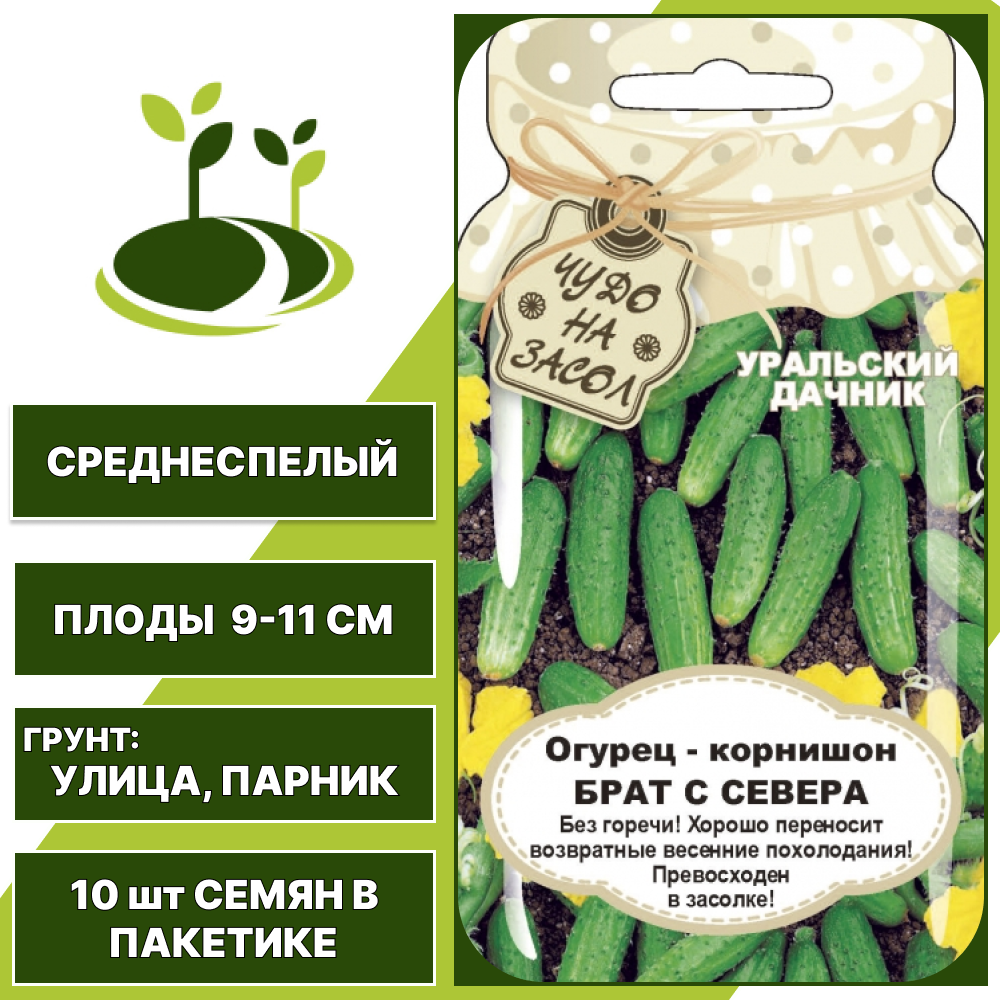 Огурец-корнишон Брат с севера серия Банка, УРАЛЬСКИЙ ДАЧНИК, количество семян в пакетике 10 шт