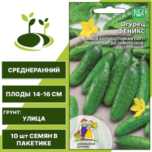 Огурец Феникс, УРАЛЬСКИЙ ДАЧНИК, количество семян в пакетике 10 шт
