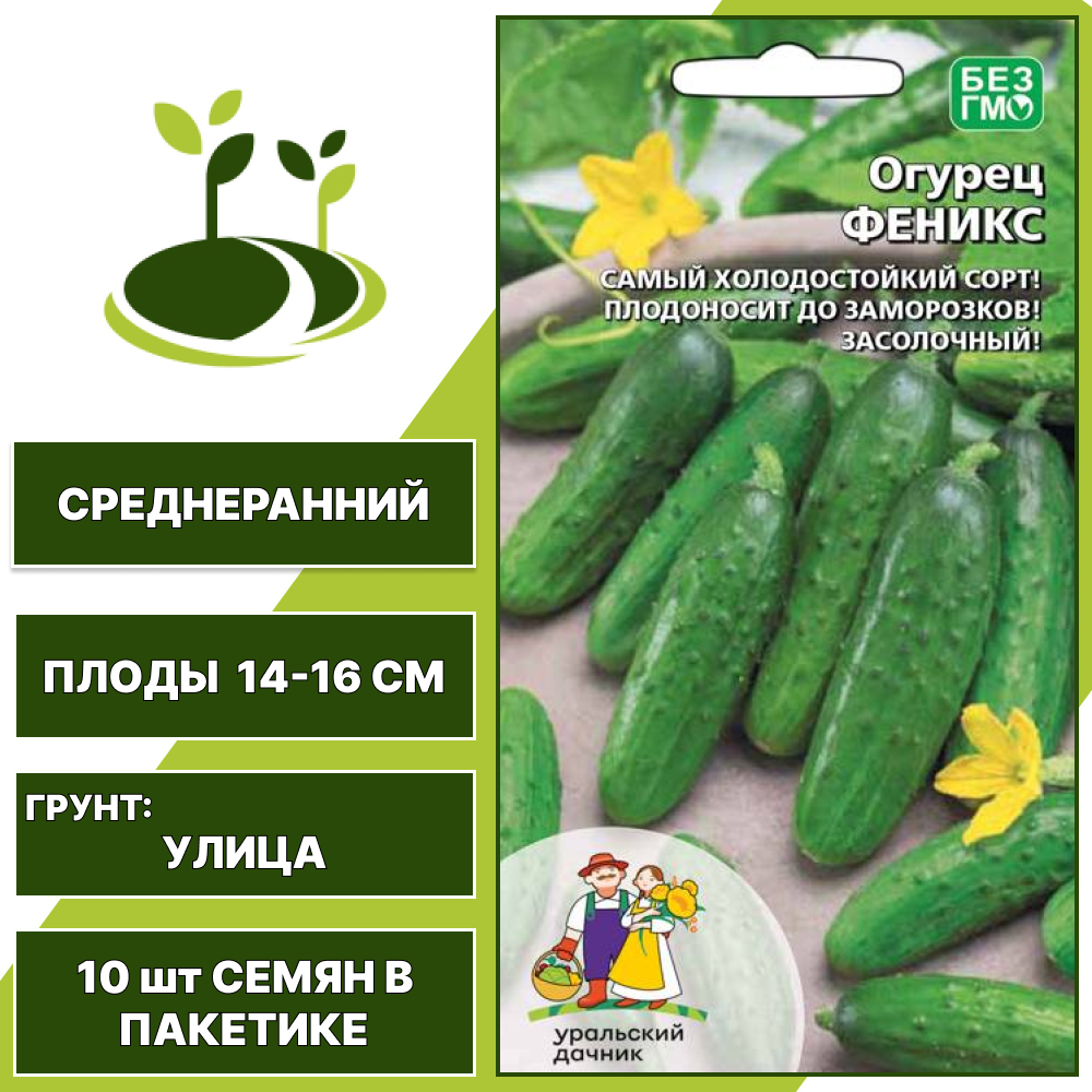 Огурец Феникс, УРАЛЬСКИЙ ДАЧНИК, количество семян в пакетике 10 шт