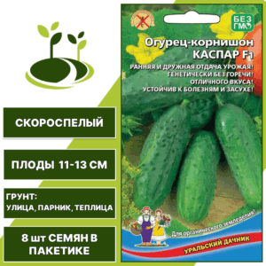 Огурец-корнишон Каспар F1, УРАЛЬСКИЙ ДАЧНИК, количество семян в пакетике 8 шт