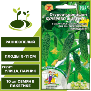 Огурец-корнишон Кучеряво Живем F1, УРАЛЬСКИЙ ДАЧНИК, количество семян в пакетике 10 шт