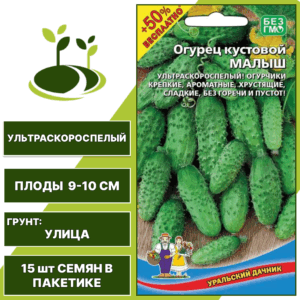 Огурец кустовой Малыш + 50% бесплатно, УРАЛЬСКИЙ ДАЧНИК, количество семян в пакетике 15 шт
