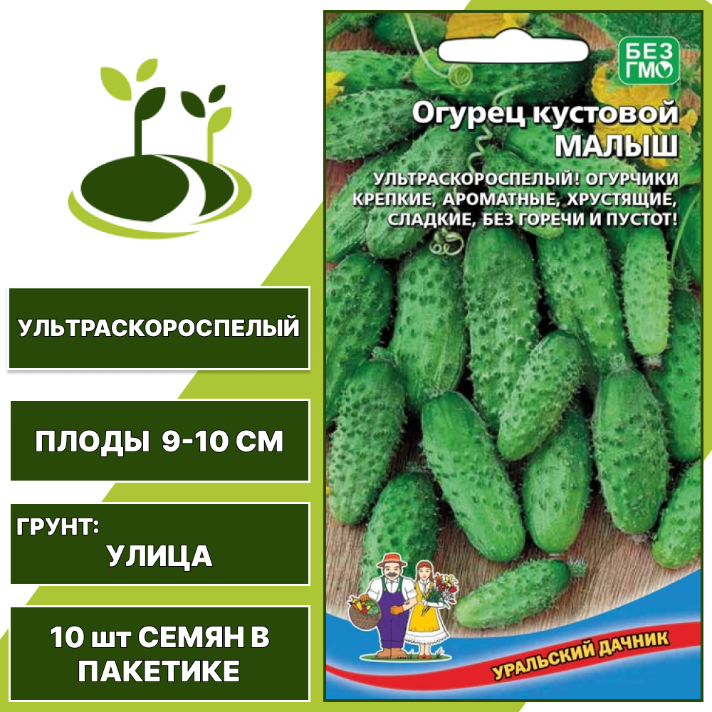 Огурец кустовой Малыш, УРАЛЬСКИЙ ДАЧНИК, количество семян в пакетике 10 шт