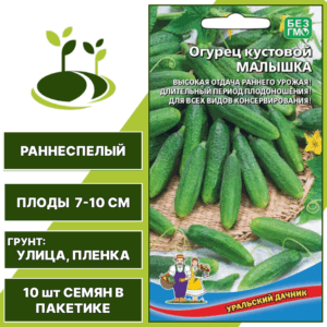 Огурец кустовой Малышка, УРАЛЬСКИЙ ДАЧНИК, количество семян в пакетике 10 шт