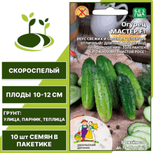 Огурец Мастер F1, УРАЛЬСКИЙ ДАЧНИК, количество семян в пакетике 10 шт