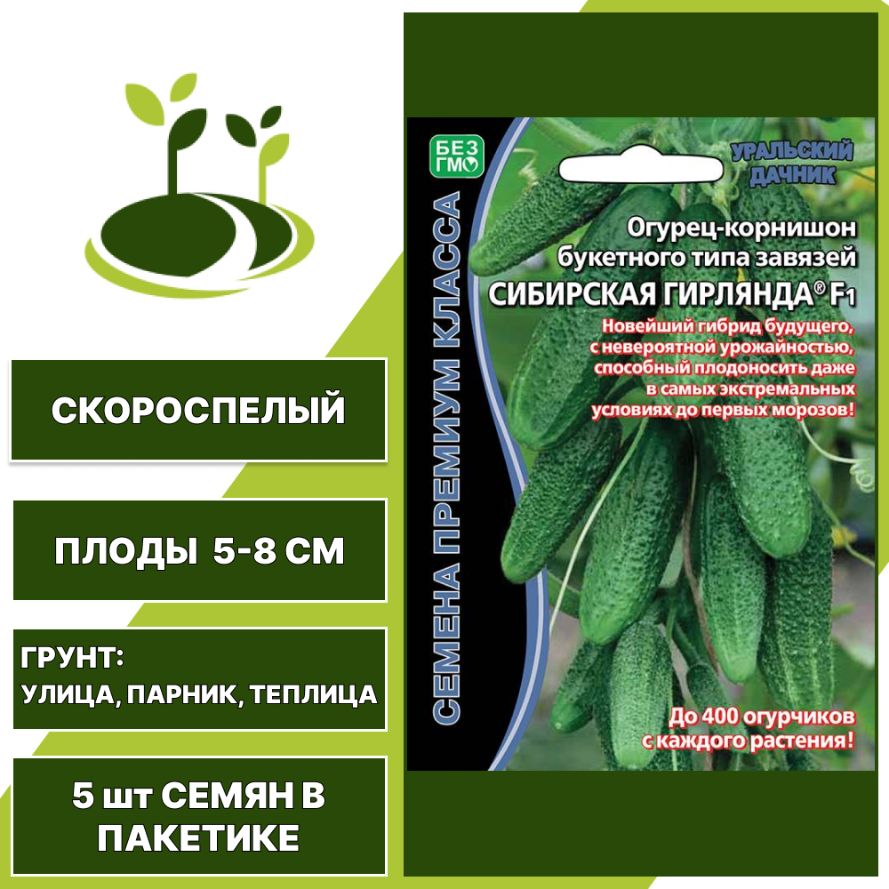 Огурец пучковый Сибирская Гирлянда F1 серия Премиум, УРАЛЬСКИЙ ДАЧНИК, количество семян в пакетике 5 шт