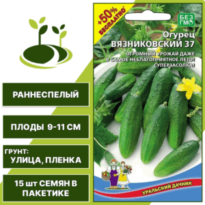 Огурец Вязниковский 37 + 50% бесплатно, УРАЛЬСКИЙ ДАЧНИК, количество семян в пакетике 15 шт