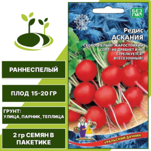Редис Аскания, УРАЛЬСКИЙ ДАЧНИК, количество семян в пакетике 2 гр