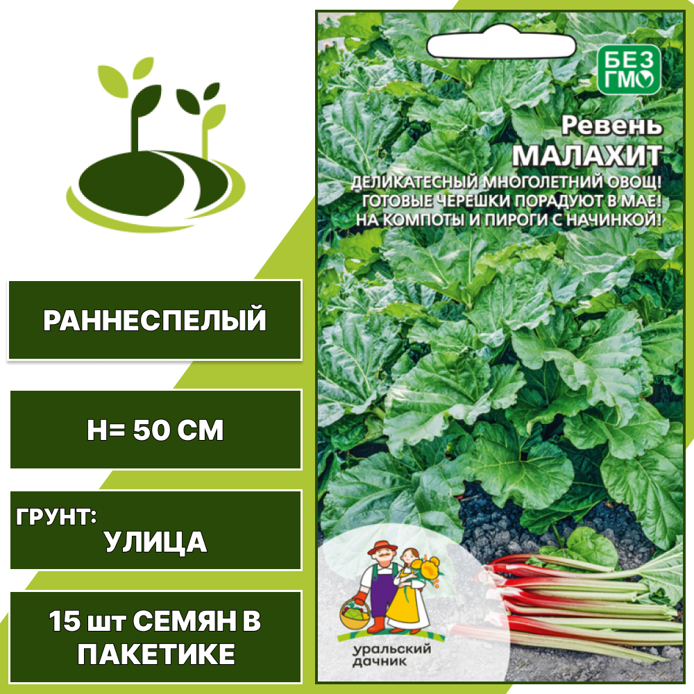 Ревень Малахит, УРАЛЬСКИЙ ДАЧНИК, количество семян в пакетике 15 шт