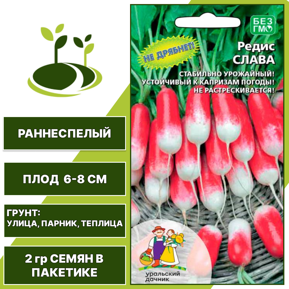 Редис Слава, УРАЛЬСКИЙ ДАЧНИК, количество семян в пакетике 2 гр