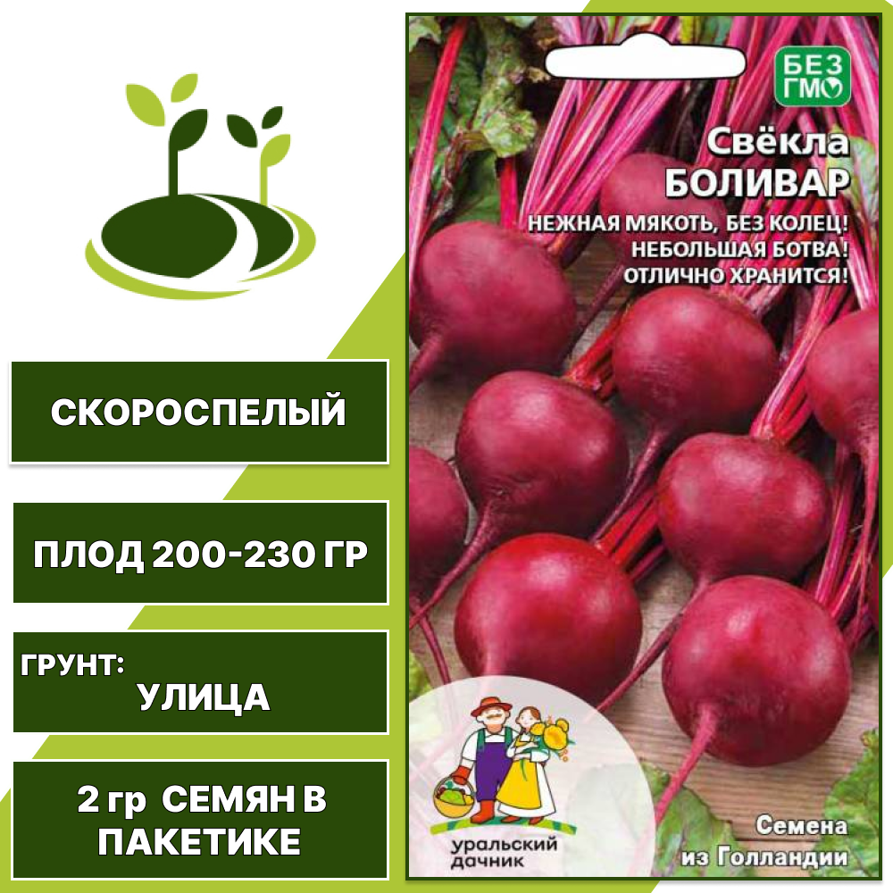 Свекла Боливар, УРАЛЬСКИЙ ДАЧНИК, количество семян в пакетике 2 гр